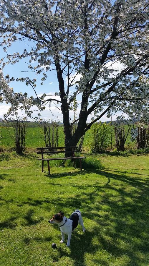 Ferienhaus Stolle Lawalde Kültér fotó